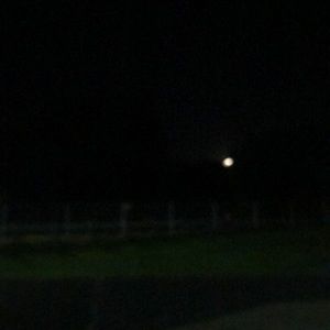 Meet your Posher, Bonnie